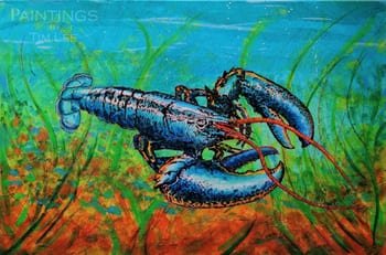 Homarus Gammarus